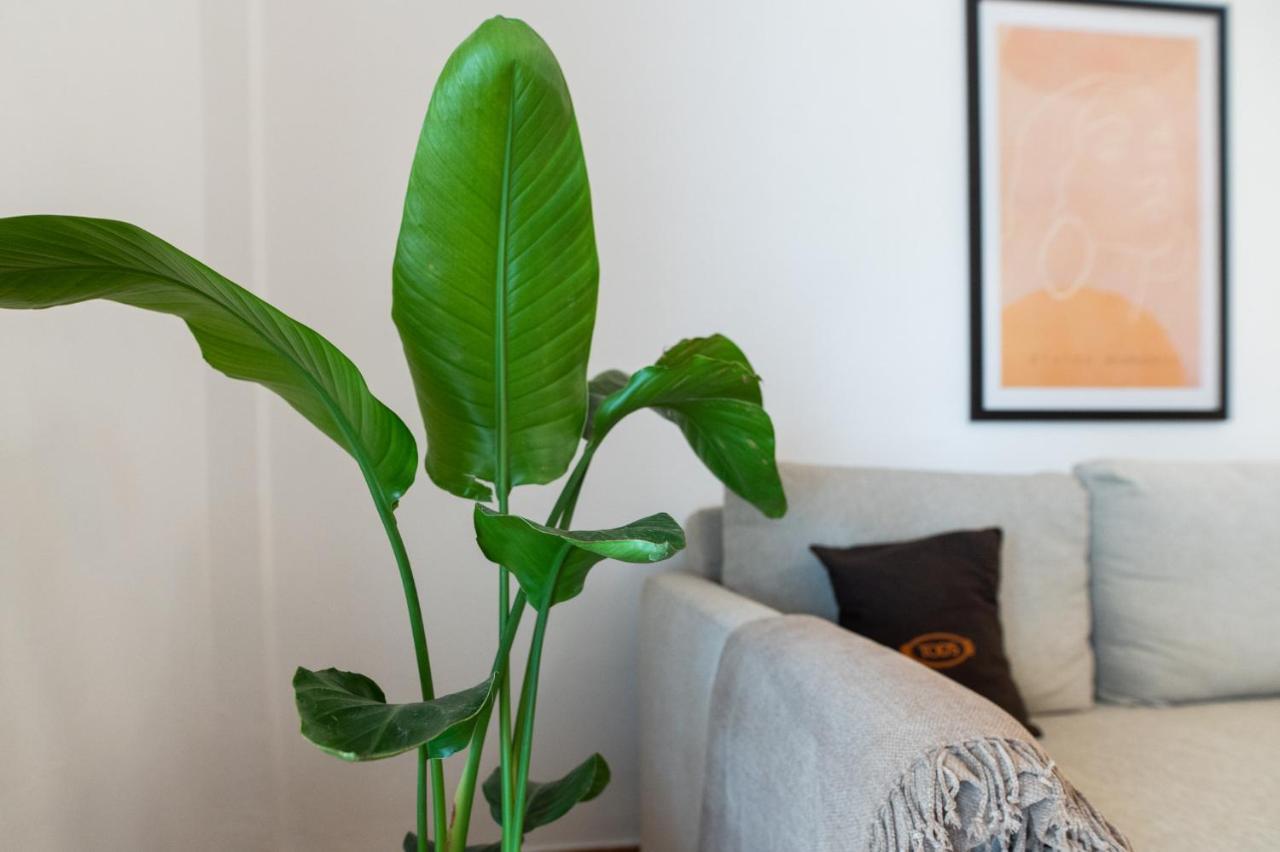 Flat 126 Apartman Alexandrúpoli Kültér fotó